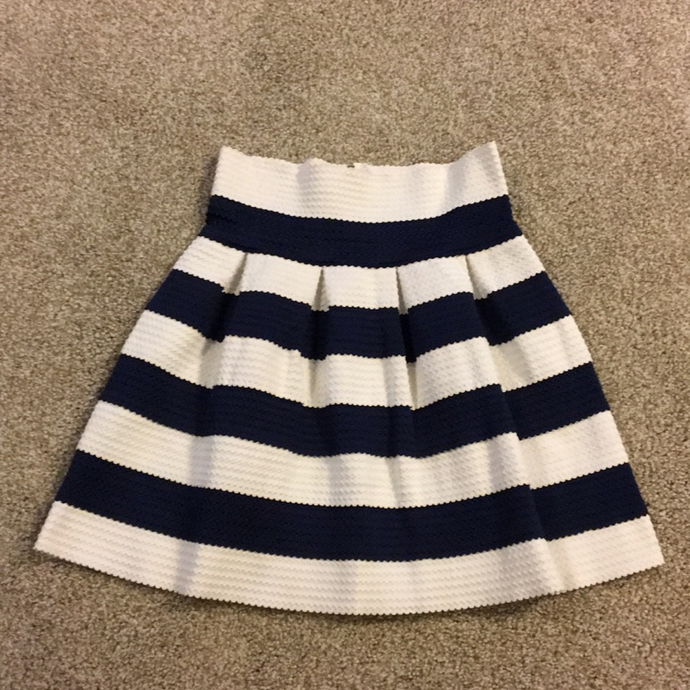Navy and White Pleated Skirt